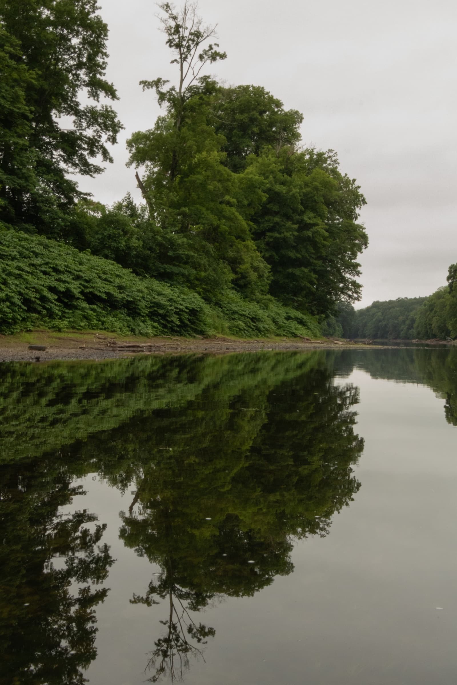 Forest trees perfectly reflected in the still Delaware River